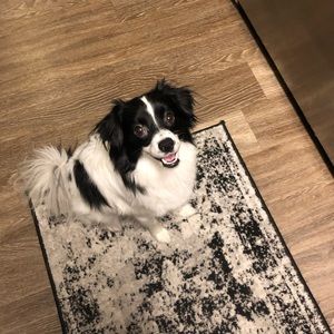 Meet your Posher, Eden